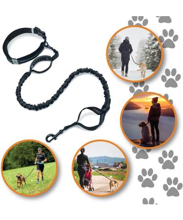 Premium Belt Bag with Jogging Leash for Dogs - Reinforced Stitches & Shock-Absorbing Bungee - Black/Blue - Buy Online on GoSupps.com