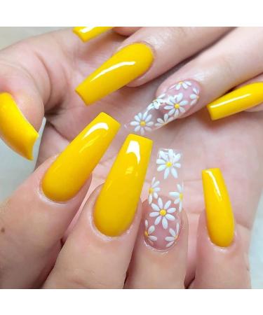 Nail Stamp Plate Kit - Butterfly Flower Feather Designs - 6 Stamping Plates + Stamper & Scraper - Retro Fashion Nail Art Set for Women - Buy Online on GoSupps.com