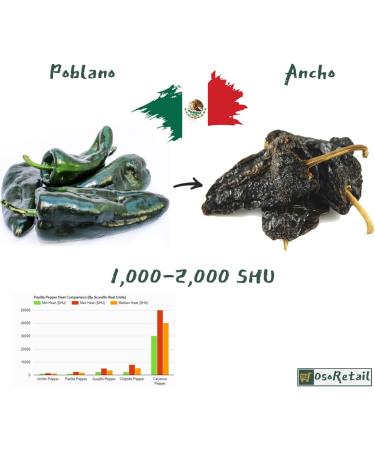 OsoRetail Chipotle in Adobo Sauce 200 g (La Coste a) with an assortment of Guajillo peppers and width (2 x 100 g) - Buy Online on GoSupps.com