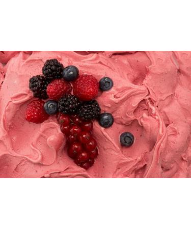 Dolcincasa.com Berry Flavored Paste Ideal for Ice Creams and Pastries 500gr - Buy Online on GoSupps.com