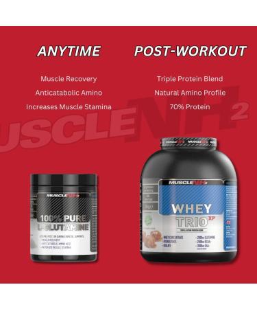 Muscle NH2 L-Glutamine Powder - 500g | 100 Servings | Supports Muscle Strength, Recovery, and Immune System Boost | Unflavoured - Buy Online on GoSupps.com