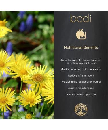Bodi Arnica Flower Whole Cut Dried - 100% Pure Natural Hand Crafted | 4 oz - Buy Online on GoSupps.com