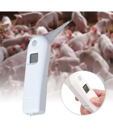 Pet Thermometer With Probe For Accurate Temperature Detection Suitable For Cats Dogs LCD Display For Cat Dog Thermometer Veterinary Thermometer Digital For Small Animals Large Animals Dogs Horse Cats - Buy Online on GoSupps.com