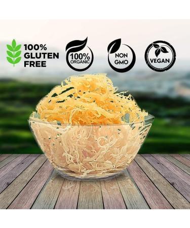  al badil Wild Golden Sea Moss - 100% Natural Superfood - Golden Sea Moss: The magic ingredient for a healthy and balanced life (50g) - Buy Online on GoSupps.com