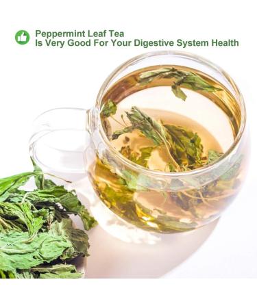 Plant Gift 100% Peppermint Tea ( Peppermint Tea Mint Tea ) Peppermint Leave Healthy Tea Organic Peppermint Tea Bags Health Flower 20g/0.7oz - Buy Online on GoSupps.com