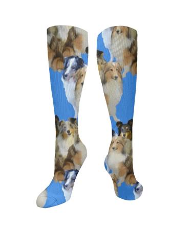 Shelties family blue background compression socks for women and men circulation 15-20 mmHg is the best support for sporty running cycling