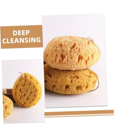 2pcs Exfoliating Bath Sponge Set | Back Scrubber & Body Wash Accessories | Ideal for Shower & Skin Cleaning - Buy Online on GoSupps.com