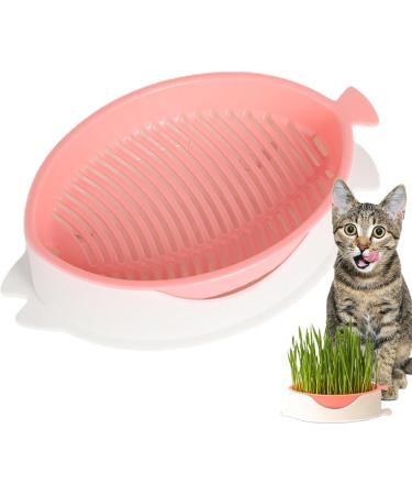  Tebinzi Catnip Cup Catnip Planter Hydroponic Catnip Culture - Cultivation Box Planting Soiless Fish Shape with Mesh Tray for Tebinzi - Buy Online on GoSupps.com