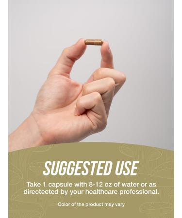 BulkSupplements.com Cordyceps Mushroom Capsules - Cordyceps Extract Cordyceps Sinensis - Gluten Free 1 Capsule per Serving (200mg) 240 Veg Capsules (Pack of 1) - Buy Online on GoSupps.com