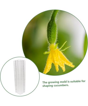 Yardwe 10 Pcs Vegetable Shaping Cucumbers Fruit Growing Cucumber Styling Modeling Accessories - Buy Online on GoSupps.com