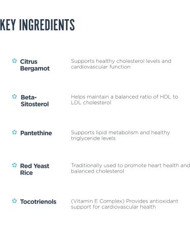 Revive MD Lipid Support Formula - Supplement Helps Maintain Healthy Cholesterol Levels Endothelial Health & Triglyceride Levels - Beta Sitosterol Citrus Bergamot & Pantethine (30 Servings) - Buy Online on GoSupps.com