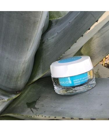 ROAEXPO Jeju Ocean Collagen Peptide Cream 50mL - Moisturizing Brightening & Elasticity Care with Natural Ingredients - Made in Korea - Buy Online on GoSupps.com