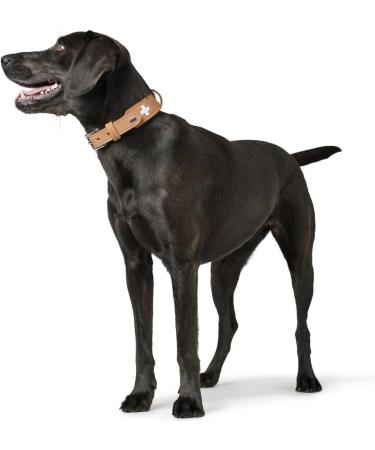 HUNTER SWISS Dog Collar - Premium Leather High Quality Swiss Cross Natural Beige (60 ML) | International Shipping - Buy Online on GoSupps.com