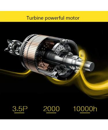 2000W Powerful Quick Drying Salon Professional Hair Dryer Compact Anti-frizz Ionic Hairdryer with Styling Nozzle Fast Blow Dryer 2 Speed and 3 Heat Settings DC Motor for Home and Salon Black Small - Buy Online on GoSupps.com