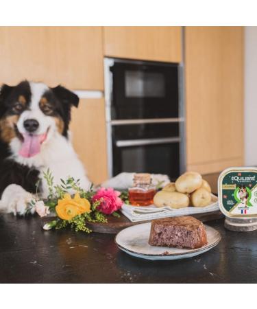 BALANCE & Instinct - Adult Dog - Lamb Wet Food Pate - Summer Limited Edition - Complete Recipe Formulated with Veterinarians - 4x300g - Made in France - Buy Online on GoSupps.com