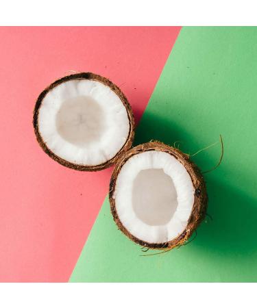 Green + Lovely Calendula Skin Stick Organic Lotion Sticks Moisturizing Balm Ointment Salve Multipurpose Hand Cream Body Bar 0.5 oz. Island Coconut (2 Tube Set) Island Coconut 0.03 Ounce (Pack of 2) - Buy Online on GoSupps.com