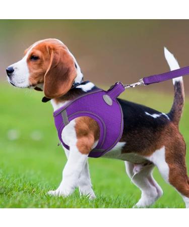Joyal Dog Dishes - Reflective Soft Padded Air-Mesh for Medium & XL Dogs - Breathable Design in Purple (55-61cm) - Buy Online on GoSupps.com