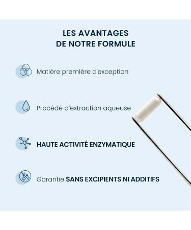 Brom la ne Pure - Haute Activit Enzymatique 5000 GDU/g - Enzyme soutenant la digestion des prot ines - Extraite de tige d'ananas - 60 g lules V g tales DRcaps - Sans additifs - Dynveo - Buy Online on GoSupps.com