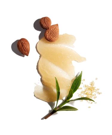 Jack Black Exfoliating Scalp Scrub & Shampoo - Best Men's Scalp Care for Healthy Hair | Shop Internationally - Buy Online on GoSupps.com