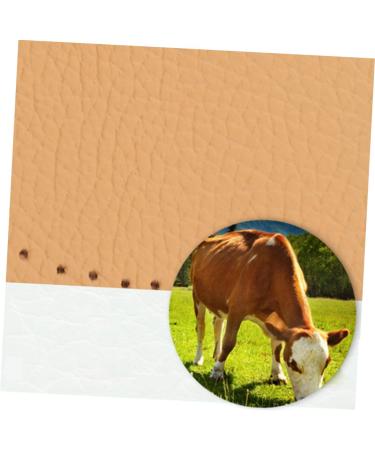 FRCOLOR 2pcs Leather & Latex Half Insoles | Non-Slip Heel Cushion & Ball of Foot Inserts for High Heels | Comfortable Shoe Pads for Women - Buy Online on GoSupps.com