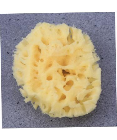 Healeved Bath Sponge Sponges Bath Shower Sponge Seaweed Sponge Natural Algae Sponge - Buy Online on GoSupps.com