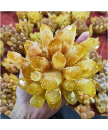 Natural Crystal Rough Stone Crafts Natural Citrine Phantom Quartz Crystal Cluster Specimen (Size : 500-600g) - Buy Online on GoSupps.com