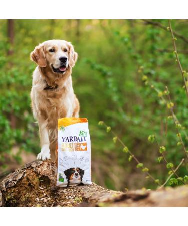 Pienso Para Perros Adultos Con Pollo Bio 2kg Yarrah - Buy Online on GoSupps.com