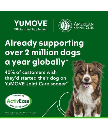 Premium Hip & Joint Supplement for Dogs - 300 Tablets with Glucosamine Chondroitin MSM & Omega 3 - Joint Support for Adult Dogs - Buy Online on GoSupps.com