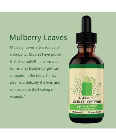 BBABBT Liquid Chlorophyll Drops 59ml - Energy Booster Digestive Health & Immune Support - Shop Internationally - Buy Online on GoSupps.com