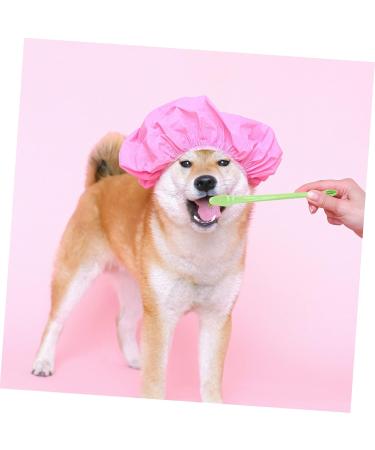 BESPORTBLE 1 Set Pet Toothbrush Dog Toothbrushes Dog Toothbrush and Toothpaste 360 Dog Toothbrush Tools Pp - Buy Online on GoSupps.com