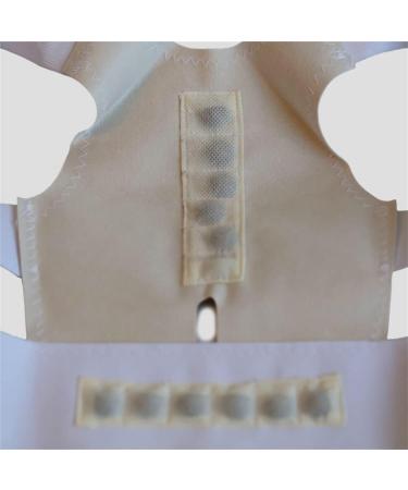 Back Support Back Brace Lumbar Support Posture Corrector Orthopedic Corset Back Waist Support with Shoulder Brace Spinal Back Support Belt(White X-Large) X-Large White - Buy Online on GoSupps.com