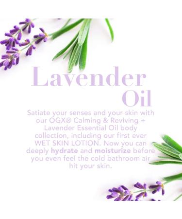 OGX Lavender Luminescent Platinum Shampoo - Hydrating & Color Reviving Formula | 13 oz - Buy Online on GoSupps.com