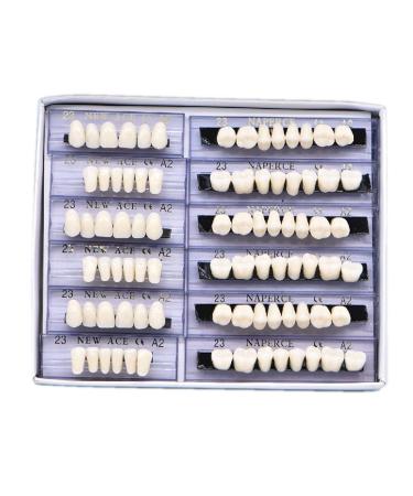 168 Pcs Dental Synthetic Resin Teeth Denture Set for Halloween - Horror False Teeth 23 A2 - Buy Online on GoSupps.com