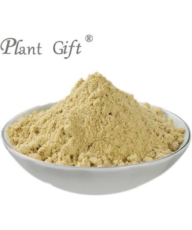 Plant Gift 100% Pure Wheat Germ Meal Powder 100G/3.25oz Non-GMO Powder No Filler No additives Natural Wheat Germ Meal Flour Adds Flavor and Taste 2UK-PO0085 - Buy Online on GoSupps.com