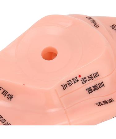 LIJK Ear Acupuncture Model - PVC Human Ear Model for Home, Hospital & School - Buy Online on GoSupps.com