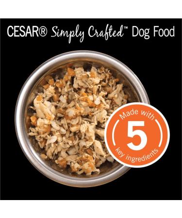 Cesar Simply Crafted Adult Wet Dog Food Chicken Sweet Potato Apple Barley & Spinach 37g Pack of 10 - Buy Online on GoSupps.com