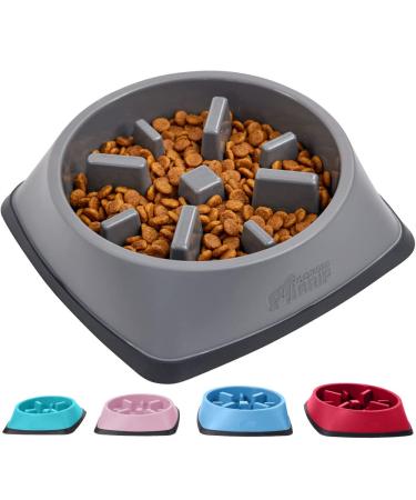 Gorilla Grip Slip Resistant Slow Feeder Dog Bowl, Slows Down Mealtime, Improve Pets Digestion, Healthy Eating Habit, Prevent Dogs and Cats from Overeating, for Dry, Fresh, Wet Pet Food 2 Cup Gray - Buy Online on GoSupps.com