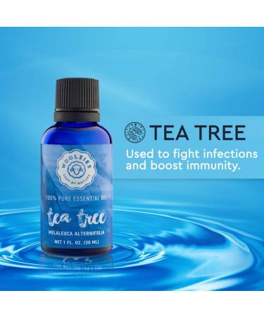 Woolzies Tea Tree Essential Oil 1 Oz - 100% Pure Natural Therapeutic Oil for Acne Psoriasis & Dandruff - Ideal for Face Skin & Hair - International Shipping Available - Buy Online on GoSupps.com