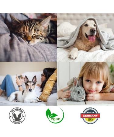 100 ml Linozz Animal Odor Neutralizer - Effective Cat Urine & Dog Bed Smell Remover | Vegan Air Cleaner & Litter Box Deodorant - Buy Online on GoSupps.com
