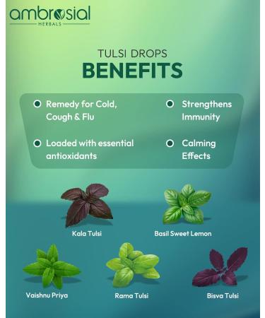 Ambrosial Tulsi Drops 30ml - Immunity Booster & Cold Relief | 5 Tulsi Extract | Raw Holy Basil Leaf | Pack of 1 - Buy Online on GoSupps.com