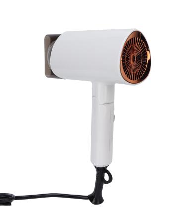 Hair Dryer Anion Ionic Blow Dryer Portable Hair Dryer Foldable Handle Travel Hair Dryer Quiet Hair Blow Dryer for Home Hotel and Salon Use(EU220V)