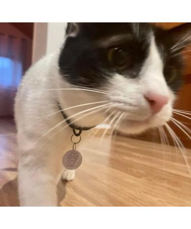 Compatible/Replacement for Petsafe for Microchip RFID Collar Tags Disc Key (Pack of 2) - Buy Online on GoSupps.com