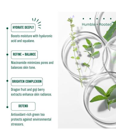 Niacinamide Serum - Hydrating Hyaluronic Acid Face Serum for Anti-Aging Enlarged Pores Redness Relief & Discoloration Correction - International Shipping - Buy Online on GoSupps.com