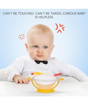 10pcs Baby Food Feeder Set - Food Grade Silicone Fresh Fruit Pacifier for Infants - Safe & Easy Feeding - Buy Online on GoSupps.com