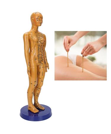 Acupuncture Model - Copper Female & Male Meridian Points for Chinese Medicine & Massage Crafts - Buy Online on GoSupps.com