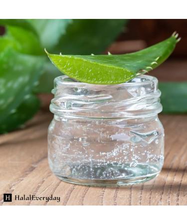 HalalEveryDay | 100% Pure Aloe Vera Gel | After Sun Care Soothe & Hydrate | Sun Burn Relief | Moisturizing | Vegan | 4 oz - Buy Online on GoSupps.com