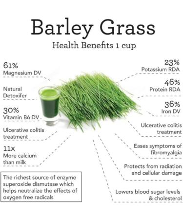 Natural Green Barley Flour 100% Pure Organic Barley Organic Barley Grass Juice Powder Good for People with Bad Living Habits Good for Health and Body Shape - Buy Online on GoSupps.com
