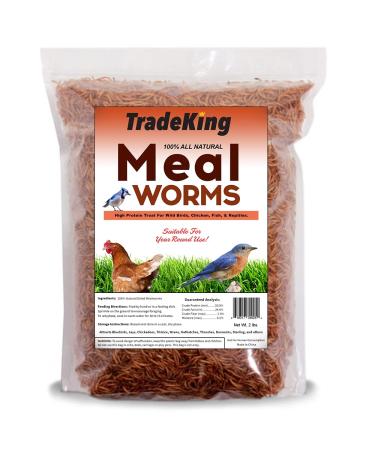 TradeKing 2 lb Dried Mealworms - High Protein Treat for Wild Birds, Chicken, Fish & Reptiles 2 Pound (Pack of 1) Mealworms