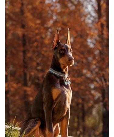 ROHOME Pure Copper Cat Dog Collar Bells Pet Tracker Round Handmade Copper Pendant Bells Brass Bells for Collar Dog Loud Anti-Lost Training Bells silver - Buy Online on GoSupps.com