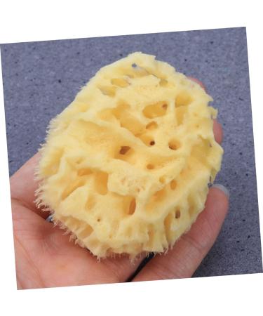 Housoutil Bath Sponge Sponges Bath Shower Sponge Seaweed Sponge Bath Flower Take a Bath Baby - Buy Online on GoSupps.com